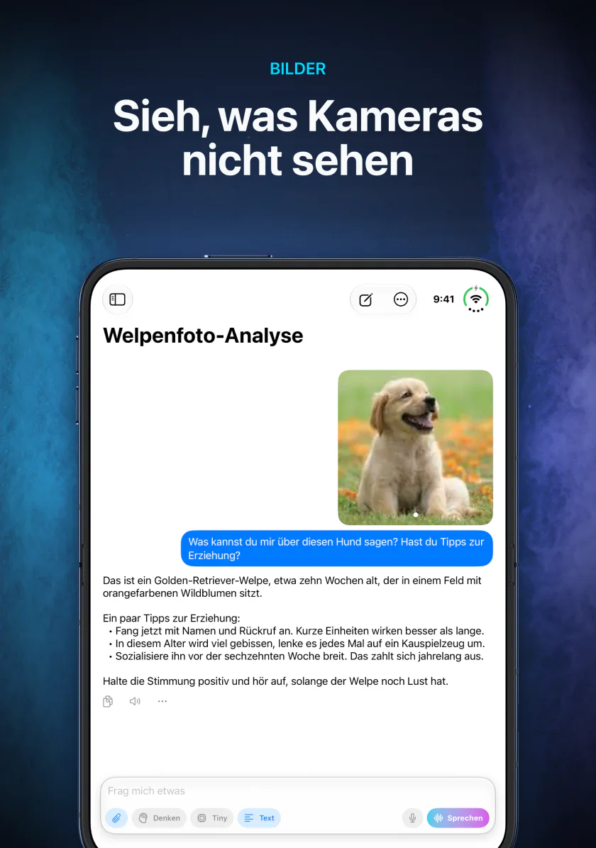 LocalMind AI auf dem iPhone Duo beschreibt ein angehängtes Foto eines Welpen, ganz auf dem Gerät