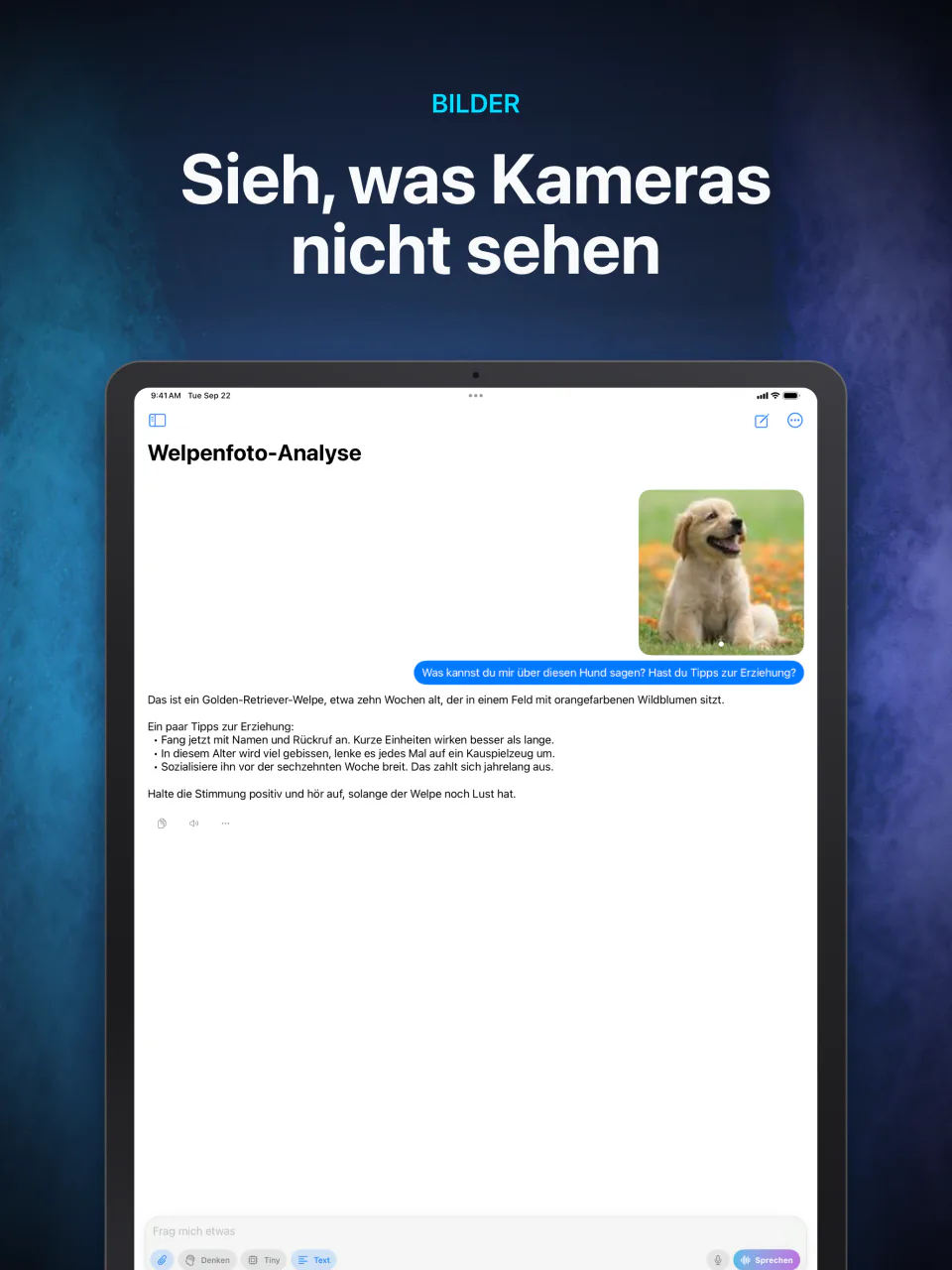 LocalMind AI beschreibt auf dem Gerät ein angehängtes Foto