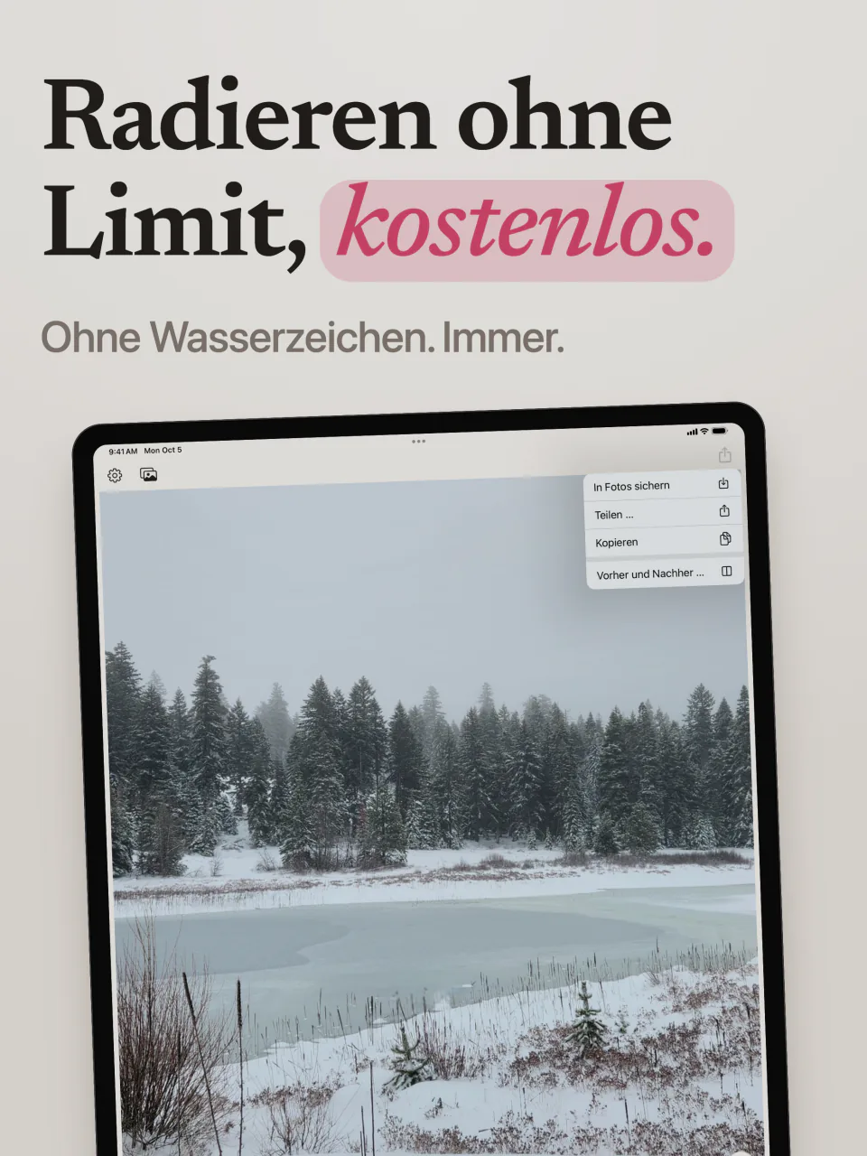 Mend auf dem iPad mit einem verschneiten See ohne Wasserzeichen und dem Menü mit In Fotos sichern, Teilen und Vorher und Nachher