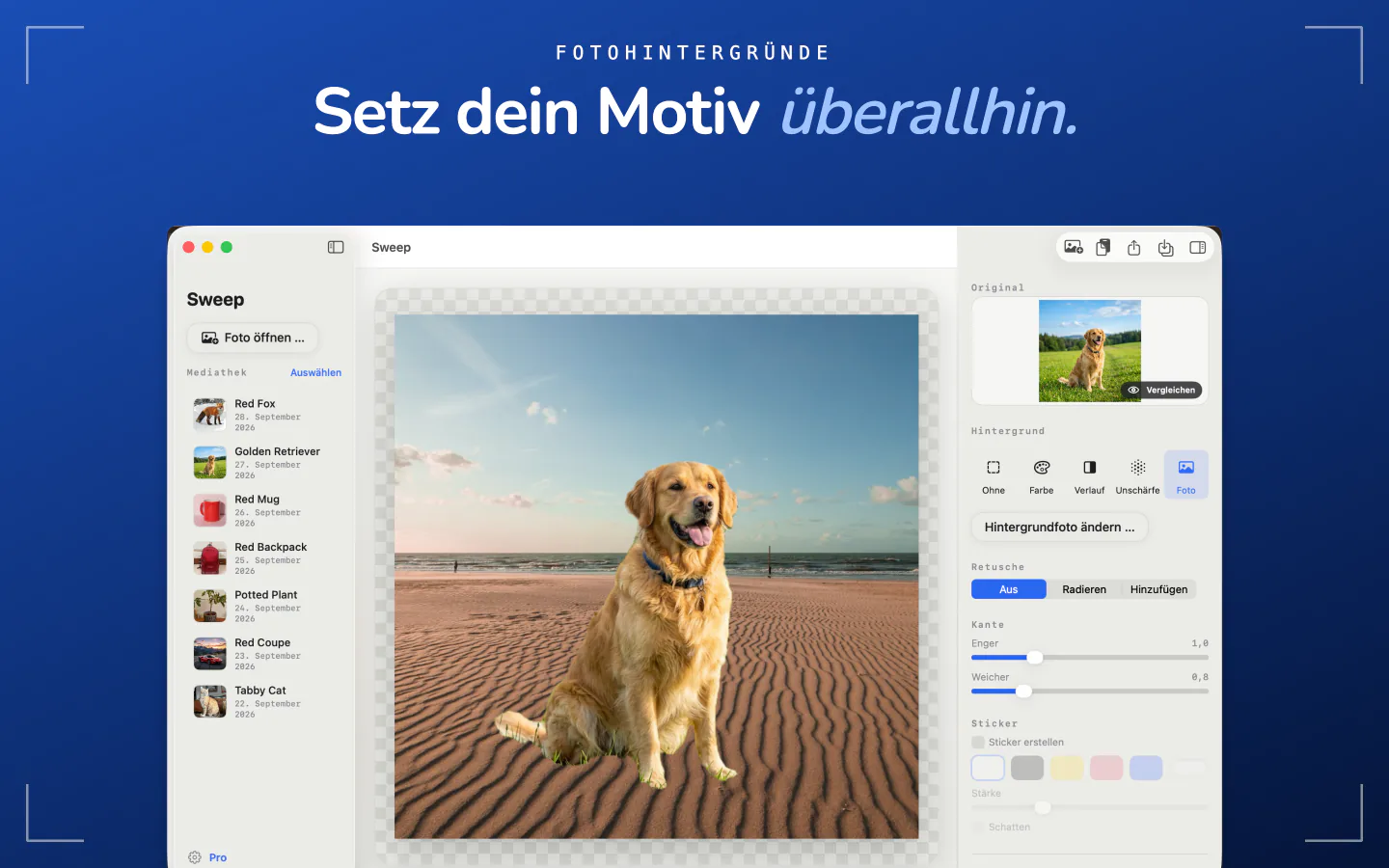 Sweep auf dem Mac setzt einen freigestellten Hund auf ein Strandfoto