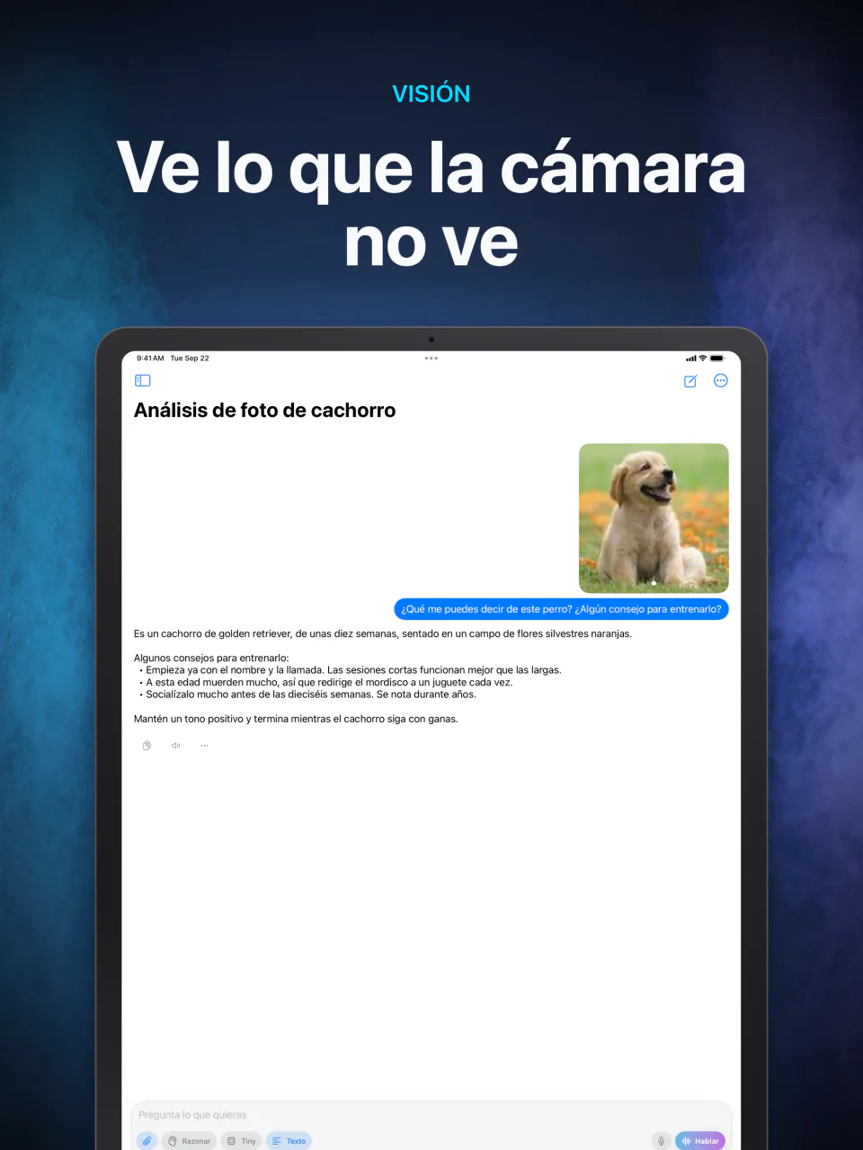 LocalMind AI describiendo en el dispositivo una foto adjunta