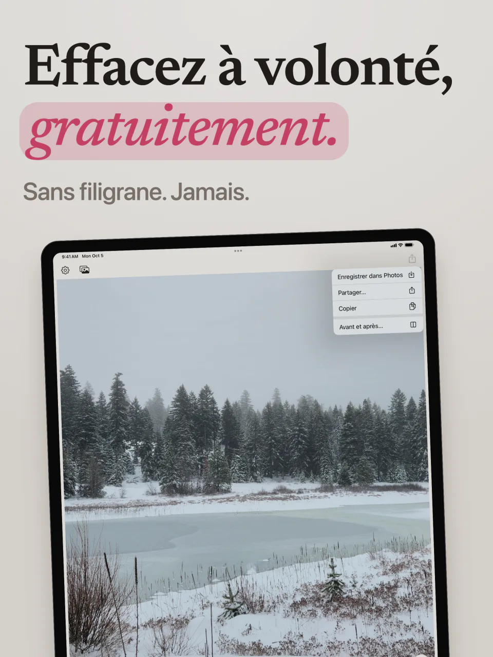 Mend sur iPad avec un lac enneigé sans filigrane, et le menu Enregistrer dans Photos, Partager et Avant et après