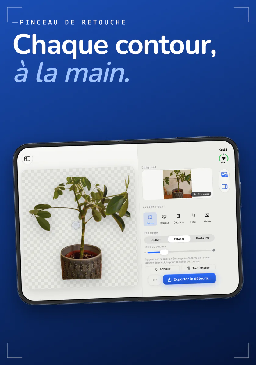 Le pinceau de retouche de Sweep sur iPhone avec les modes Effacer et Restaurer, nettoyant le bord d’une plante en pot