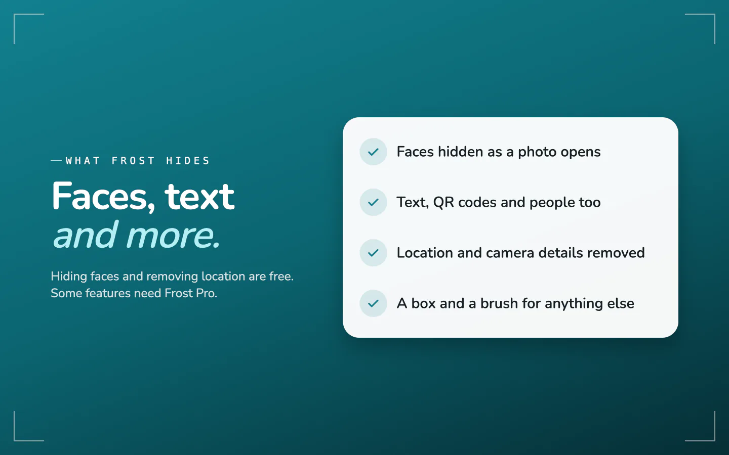 What Frost hides: faces as a photo opens, text, QR codes and people, location and camera details, with a box and a brush for anything else