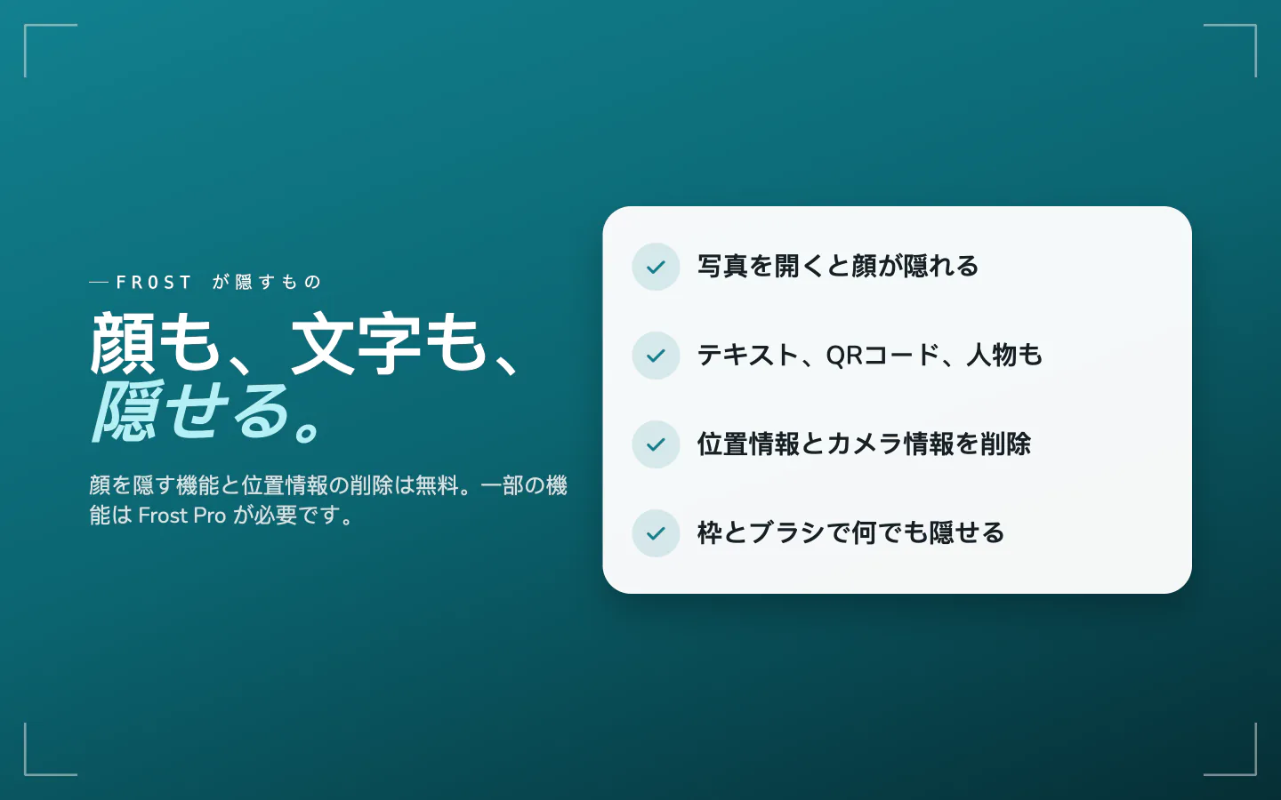 Frostが隠すもの：開いたときの顔、テキスト、QRコード、人物、位置情報とカメラの情報、そのほかのためのボックスとブラシ