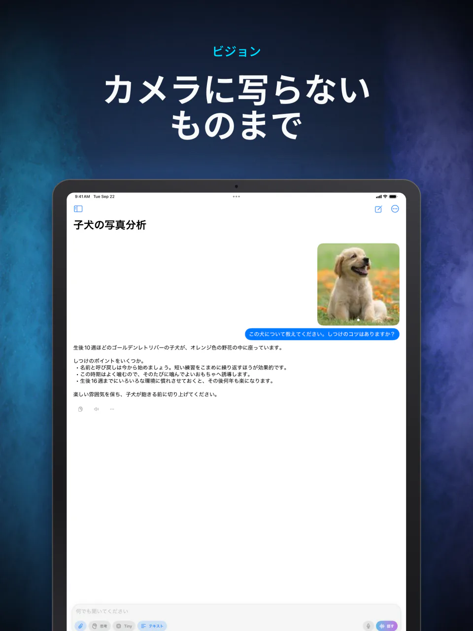 LocalMind AIが添付した写真をデバイス上で説明している画面