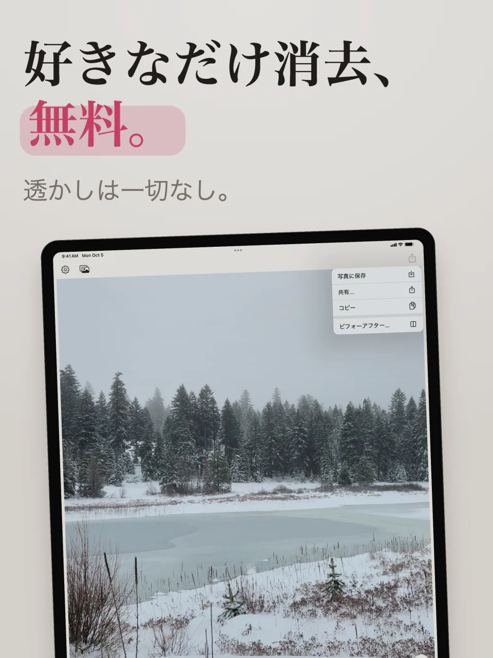 iPadのMend：透かしのない雪の湖の写真と、写真に保存、共有、ビフォーアフターのメニュー