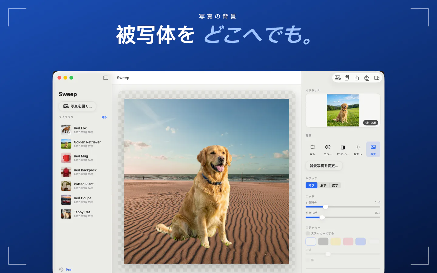 MacのSweepで、切り抜いた犬をビーチの写真の上に配置している画面