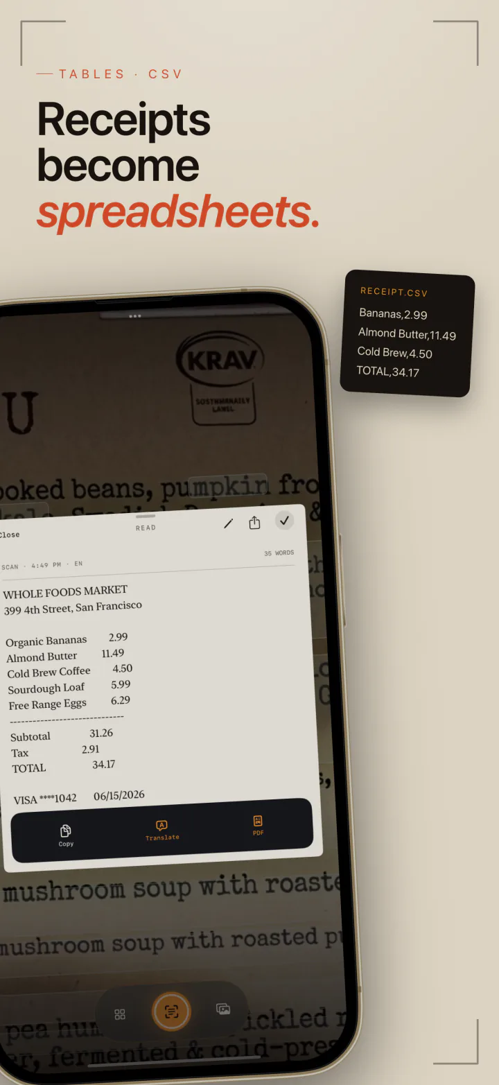 A grocery receipt captured by LiveScan and rebuilt as rows and columns for a CSV export