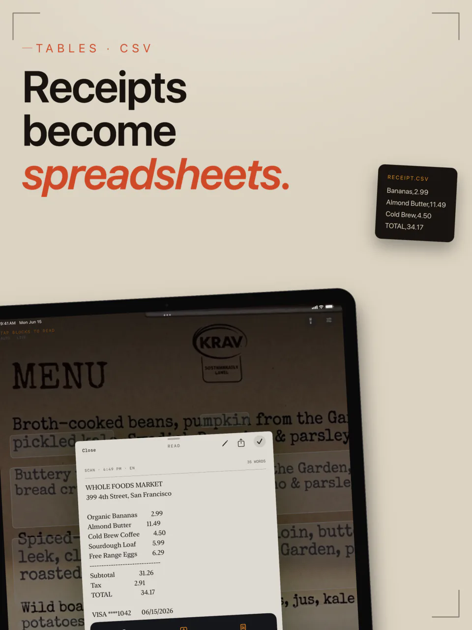 A grocery receipt captured by LiveScan on iPad and rebuilt as rows and columns for a CSV export