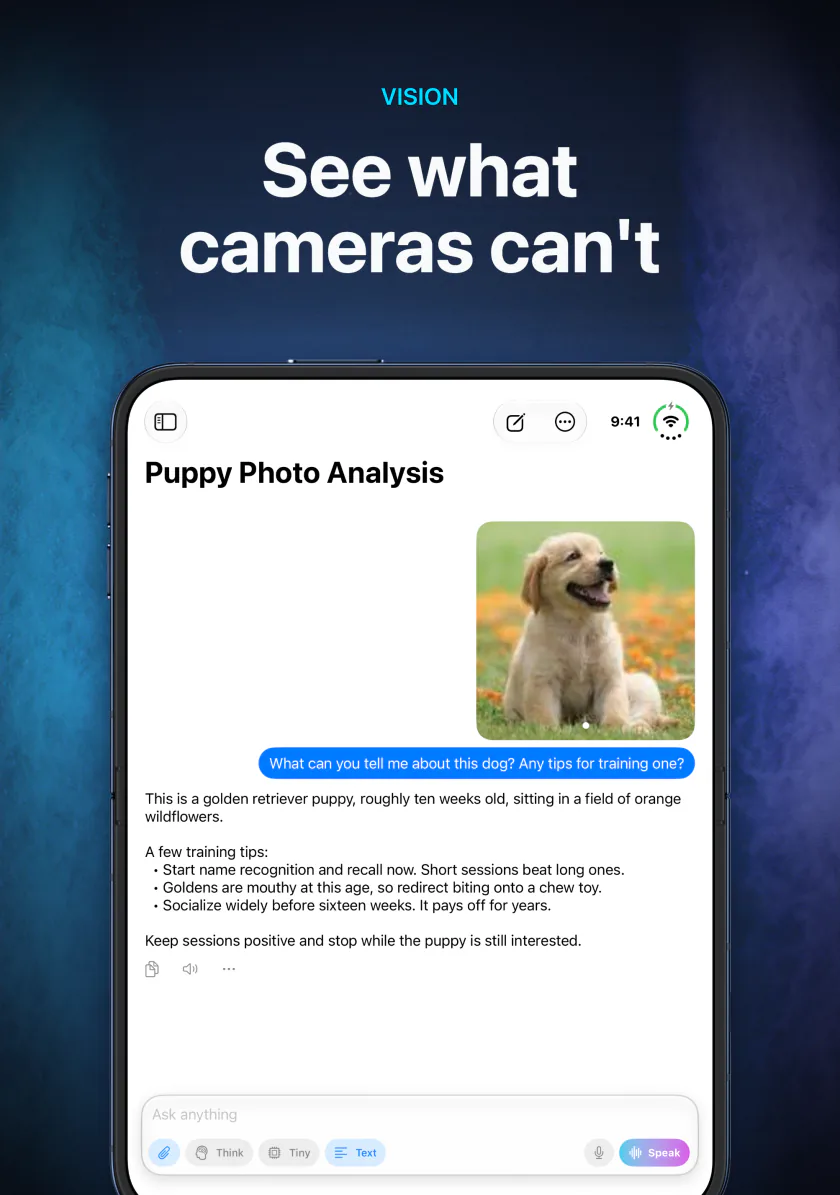 LocalMind AI on iPhone Duo describing an attached photo of a puppy, entirely on-device