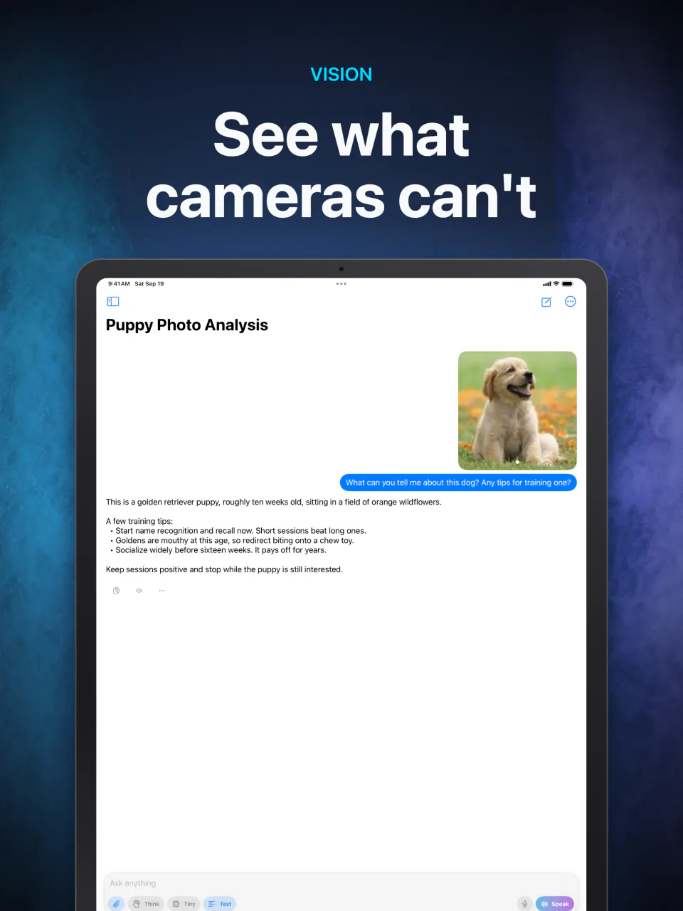 An on-device vision model in LocalMind AI on iPad describing an attached photo of a puppy