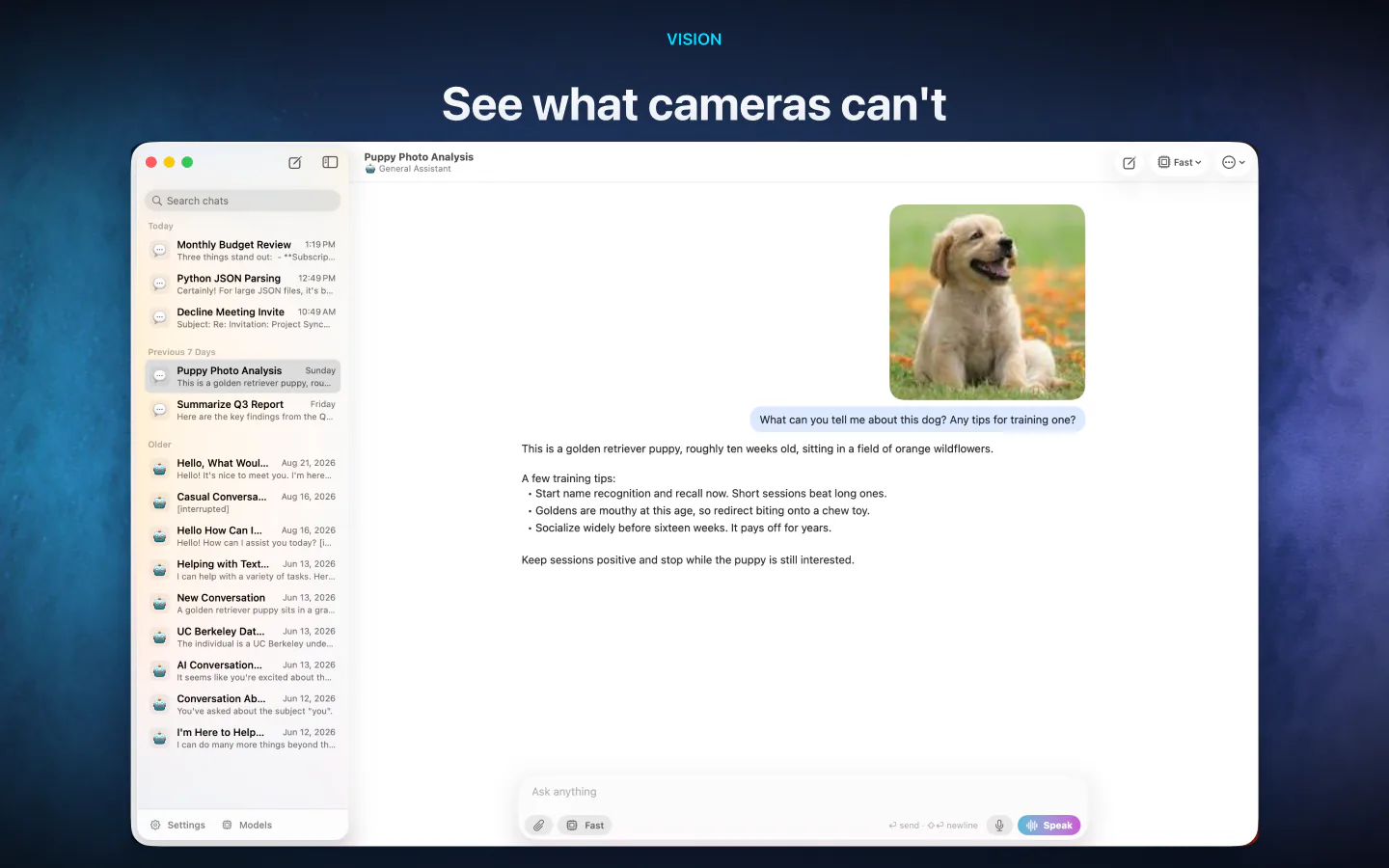 LocalMind AI on Mac describing an attached photo of a puppy, entirely on-device