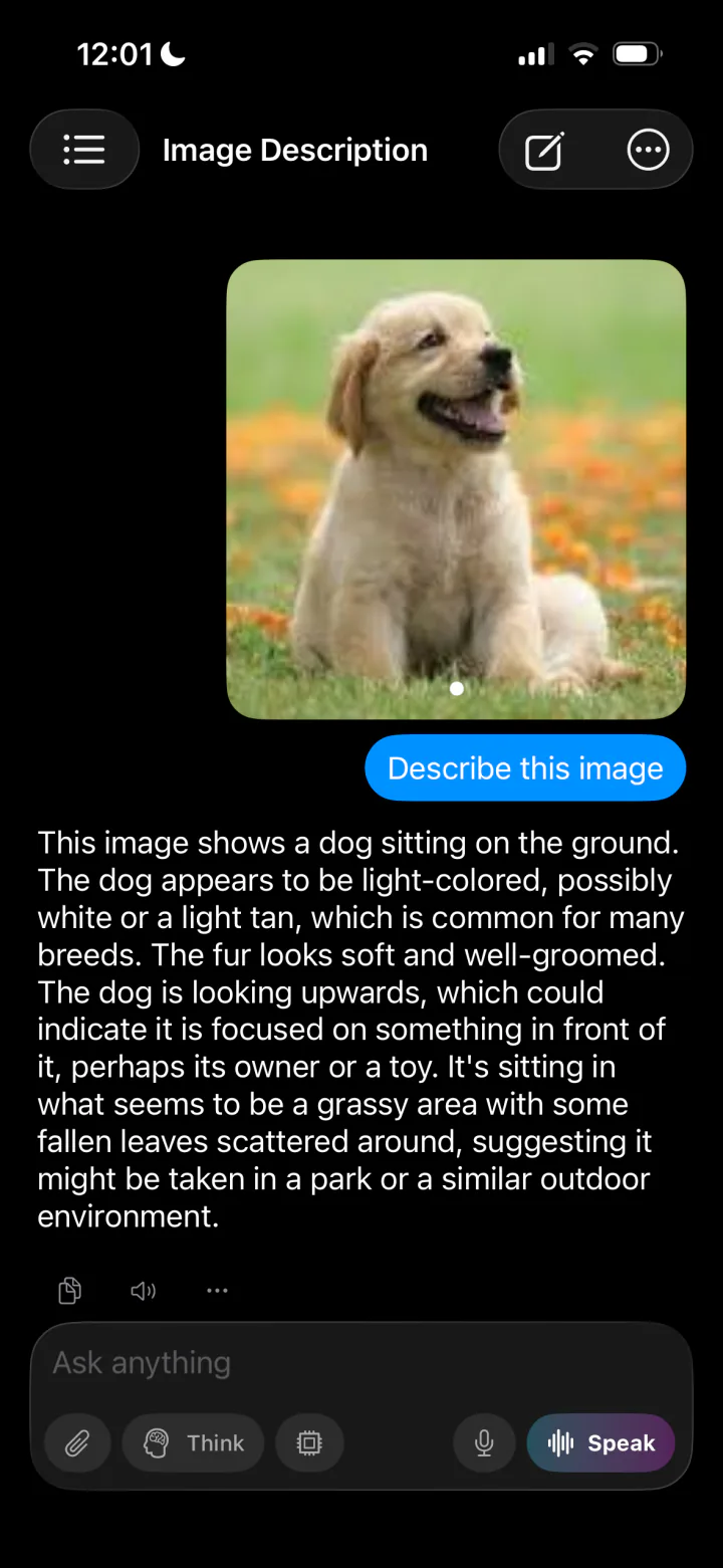 On-device vision model describing an attached photo in LocalMind AI