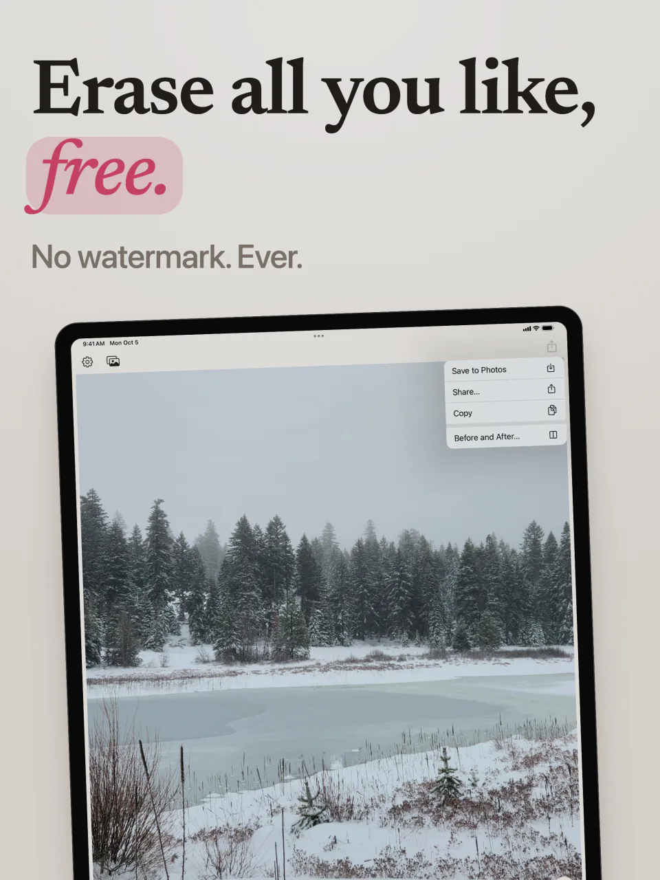 Mend on iPad showing a snowy lake with no watermark, and the Save to Photos, Share, and Before and After menu