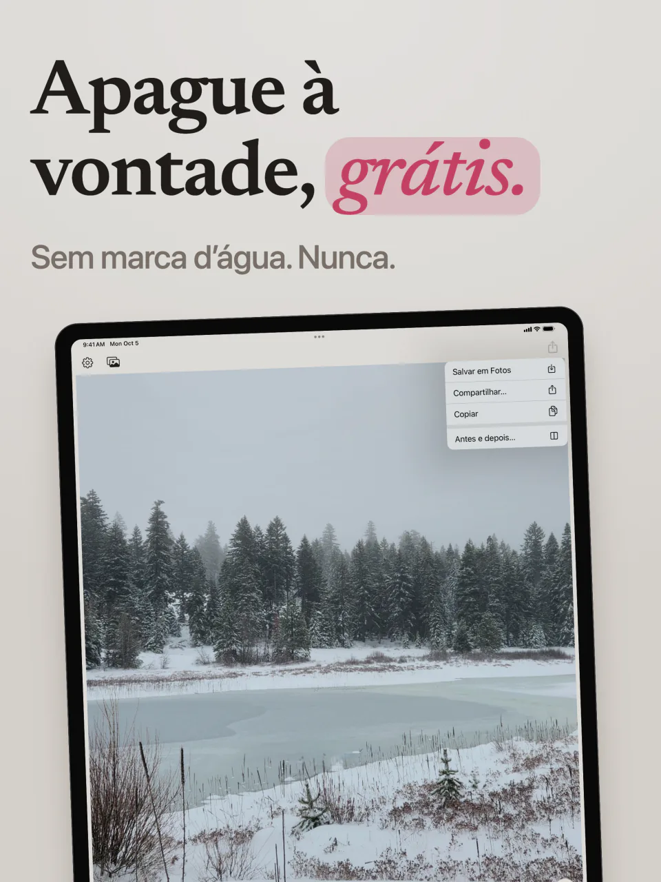 O Mend no iPad com um lago nevado sem marca d’água e o menu com Salvar em Fotos, Compartilhar e Antes e depois