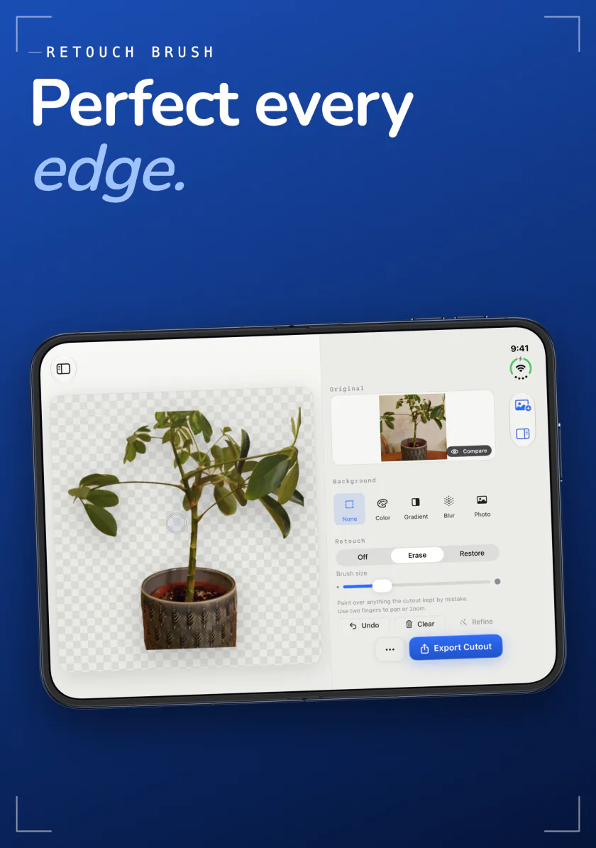 Sweep retouch brush on iPhone with Erase and Restore modes, cleaning the edge of a potted plant