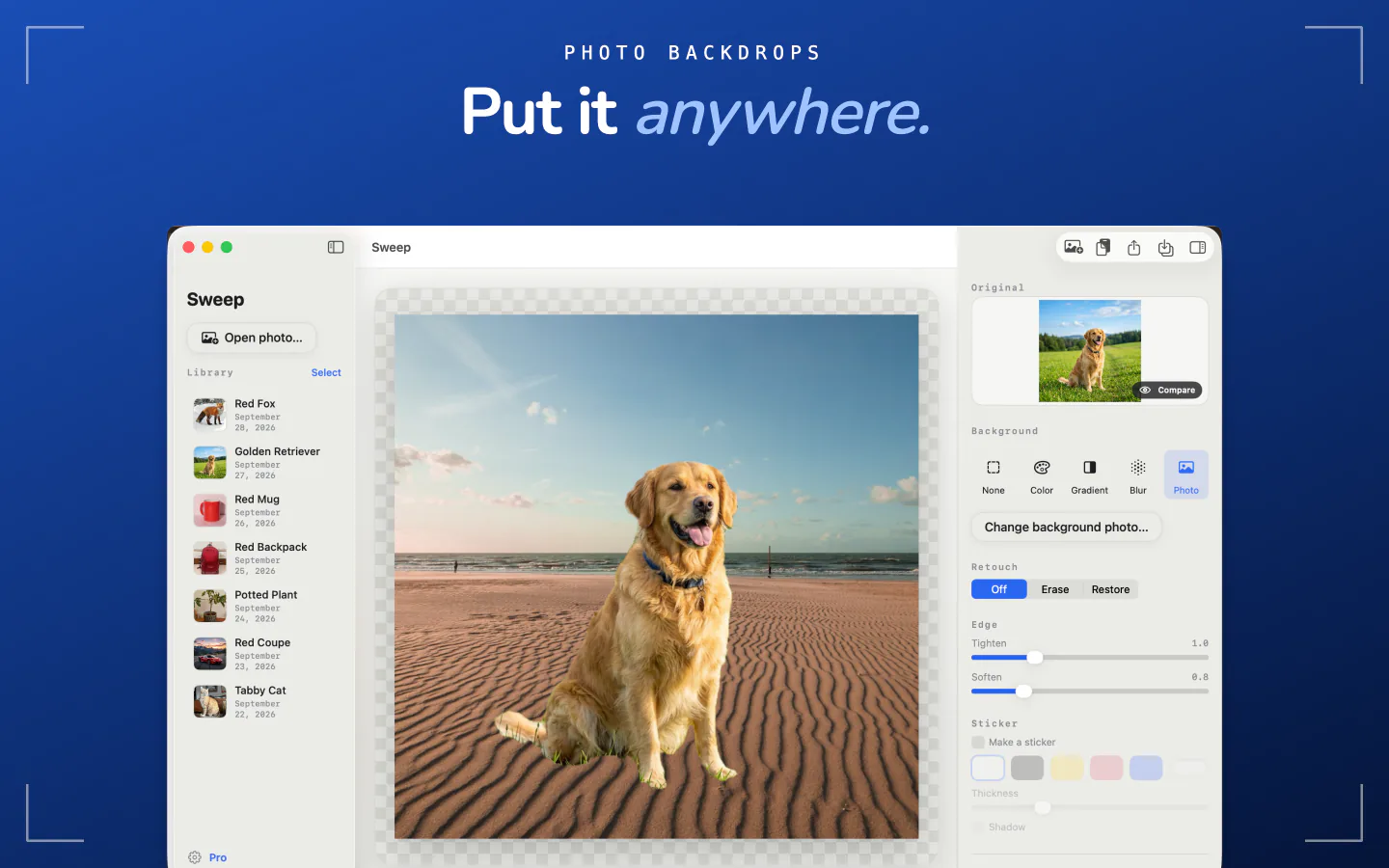Sweep on Mac placing a dog cutout onto a photo of a beach