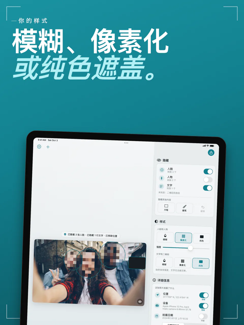 iPad 上的 Frost：自拍中的人脸被像素化，以及模糊、像素化和纯色样式