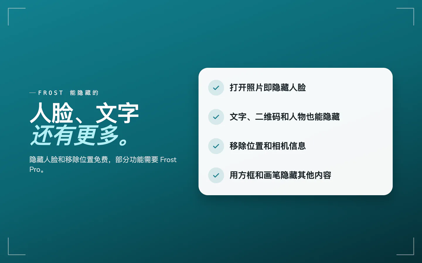 Frost 能隐藏的内容：打开时的人脸，文字、二维码和人物，位置和相机信息，以及用于其他内容的方框和画笔