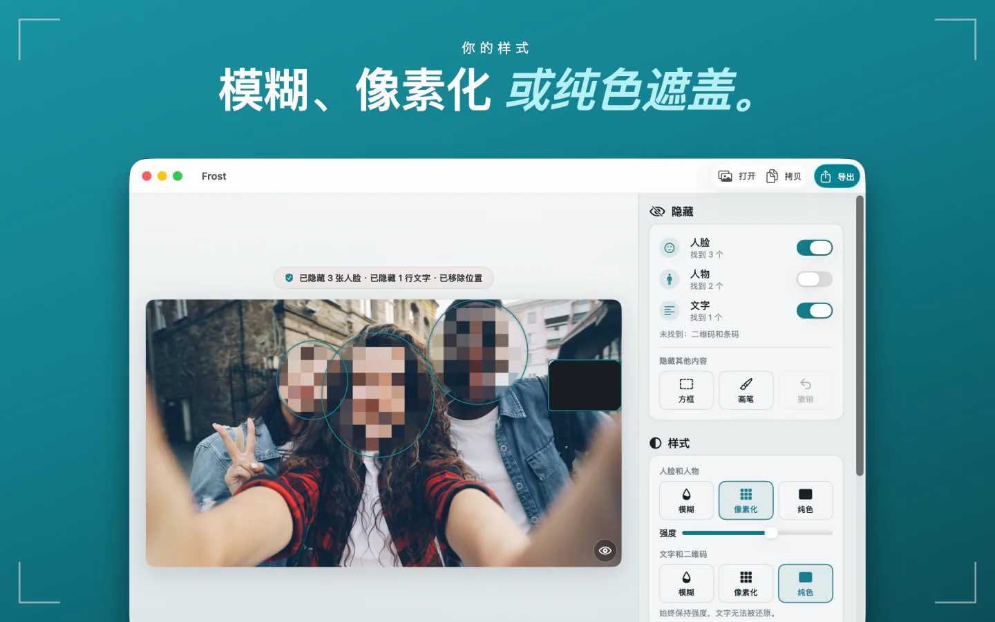 Mac 上的 Frost：照片中的人脸被像素化，以及模糊、像素化和纯色样式