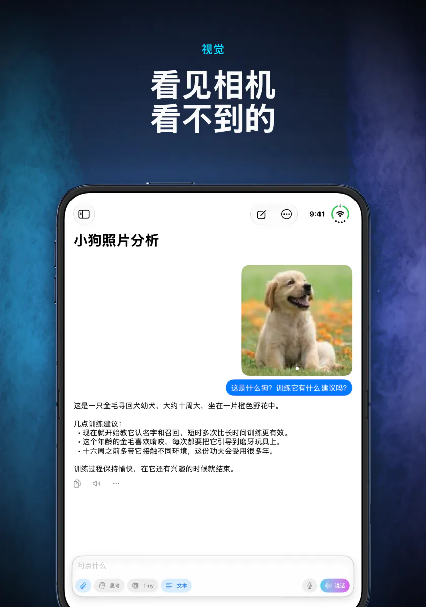 iPhone Duo 上的 LocalMind AI 在设备上描述一张附加的小狗照片