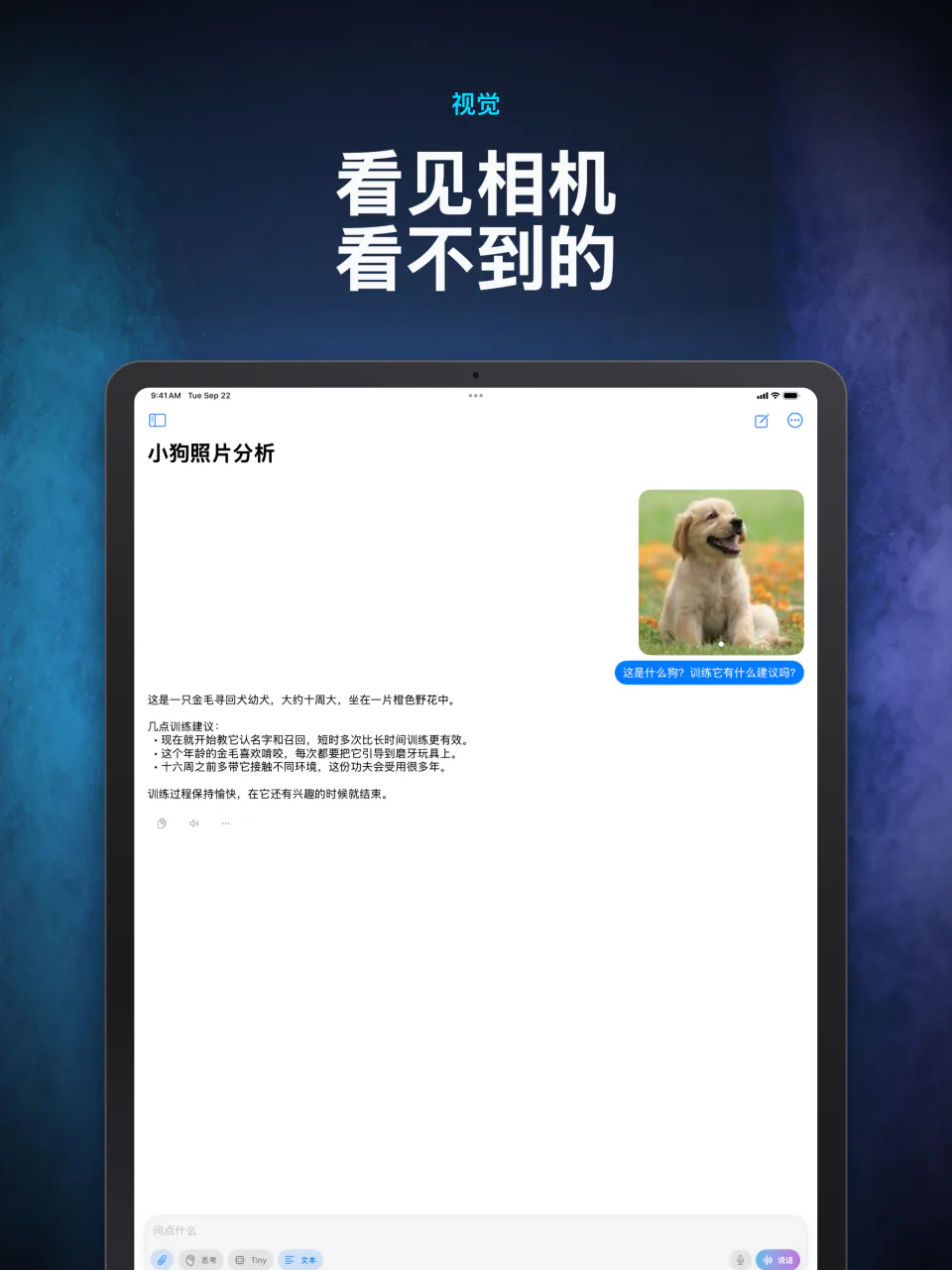 LocalMind AI 在设备上描述一张附加的照片