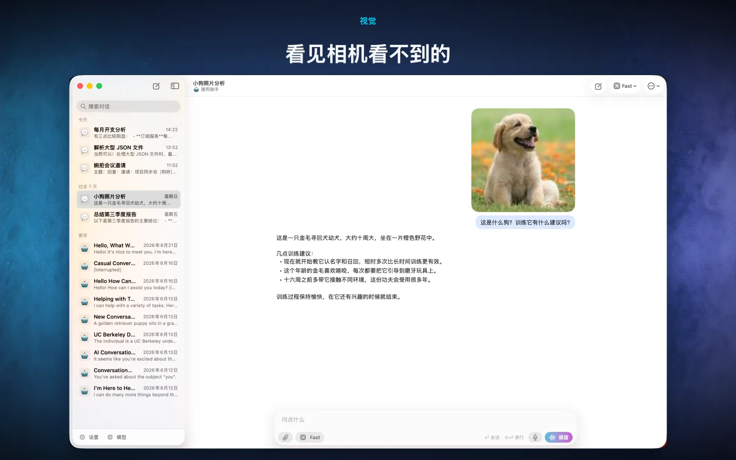 Mac 上的 LocalMind AI 在设备上描述一张附加的小狗照片