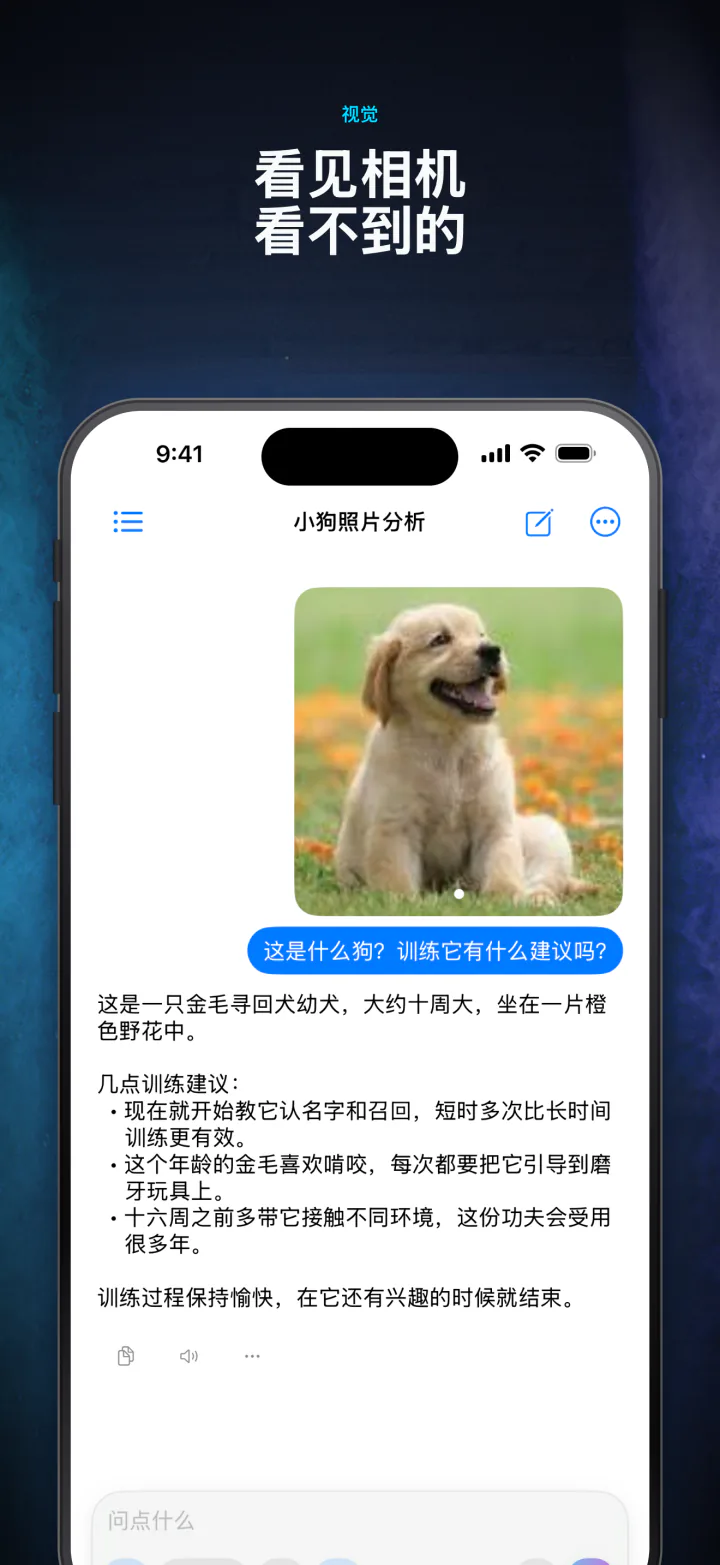 LocalMind AI 在设备上描述一张附加的照片
