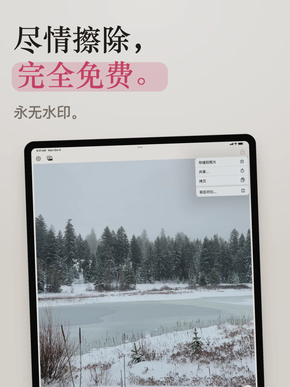iPad 上的 Mend:没有水印的雪湖照片,以及存储到照片、共享和前后对比菜单