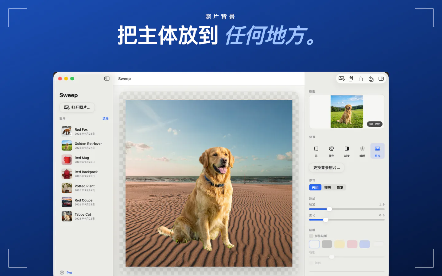 Mac 上的 Sweep，把抠出的狗放到一张海滩照片上